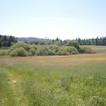 Landhuesli *