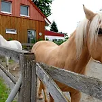 Prázdninový dům Landhuesli Illmensee