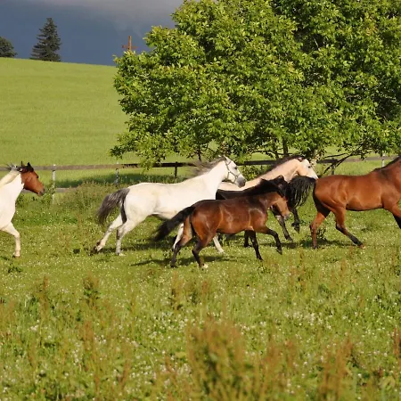 Landhuesli Casa de Férias Illmensee