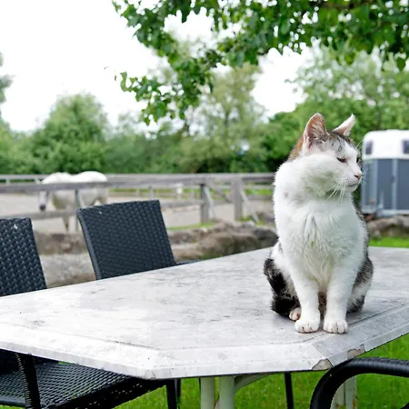 Casa de Férias Landhuesli *