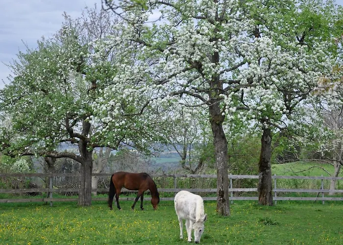 Landhüsli Illmensee