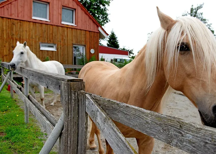 Landhüsli Casa vacanze